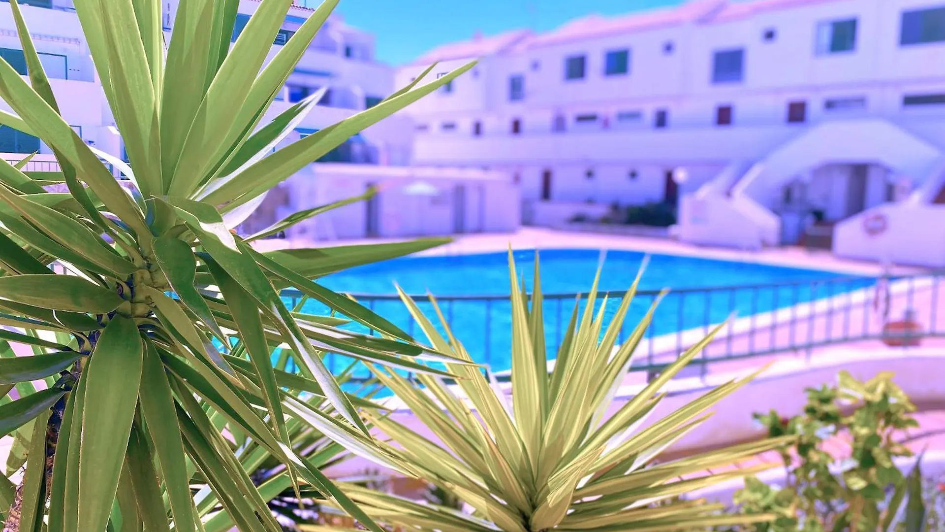 Tropicalidays Sunset Palm Apartment Costa Del Silencio